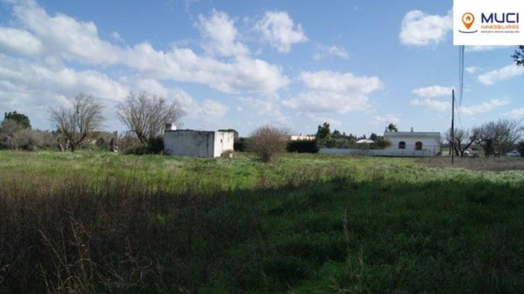 terreno agricolo in vendita a Nardò