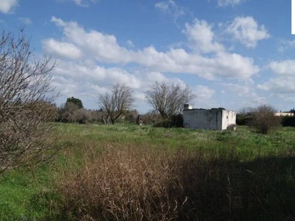 terreno agricolo in vendita a Nardò