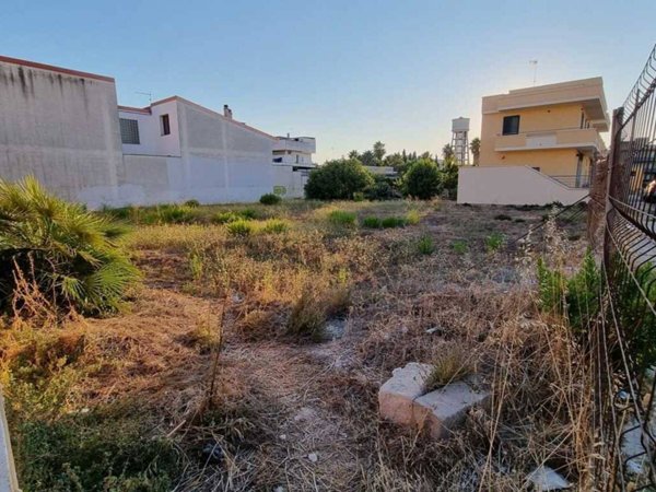 terreno agricolo in vendita a Nardò