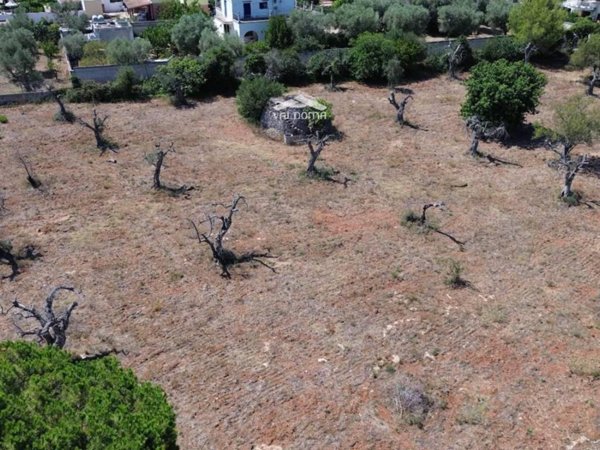 terreno agricolo in vendita a Nardò in zona Pagani