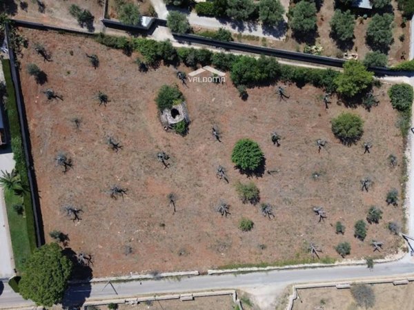 terreno agricolo in vendita a Nardò in zona Pagani