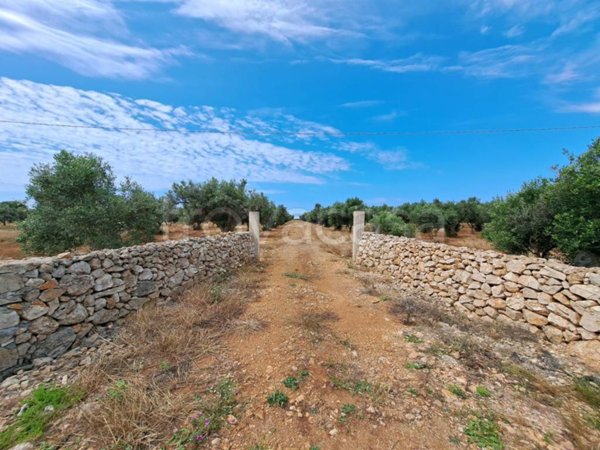 terreno agricolo in vendita a Nardò in zona Sant'Isidoro