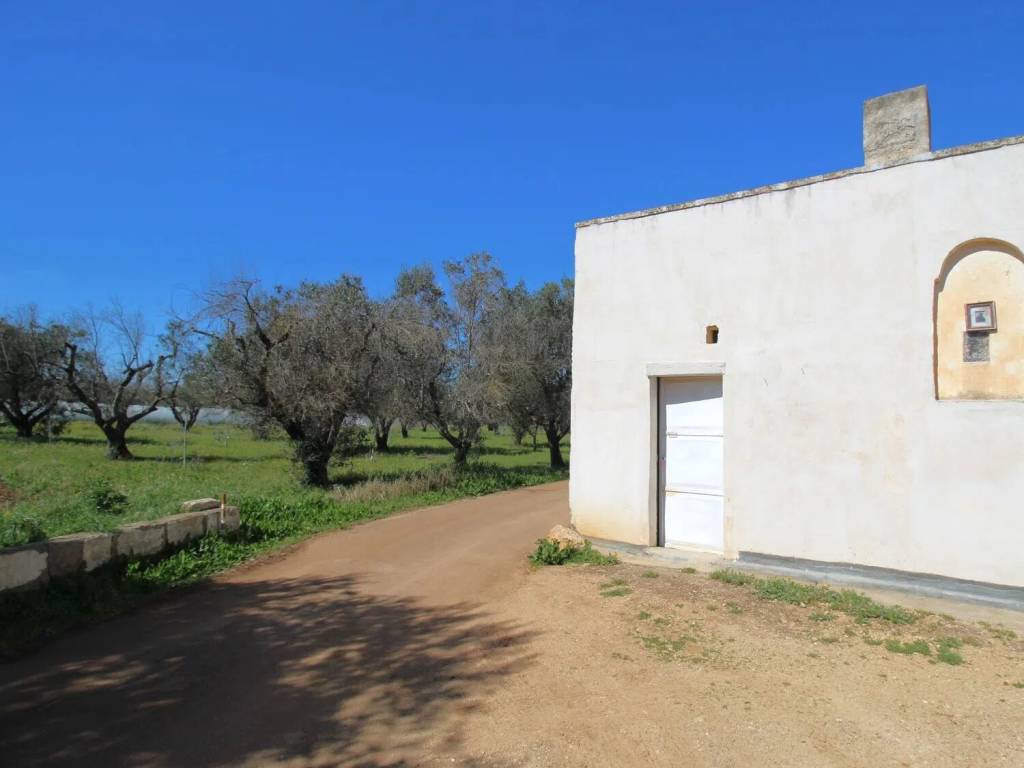 terreno agricolo in vendita a Nardò