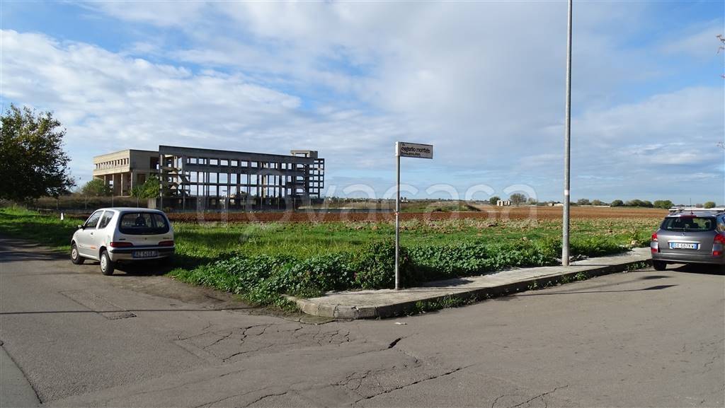 terreno agricolo in vendita a Nardò