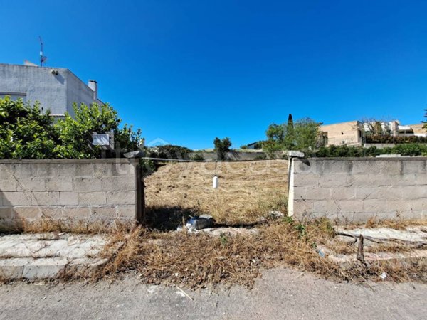 terreno agricolo in vendita a Nardò in zona Santa Caterina