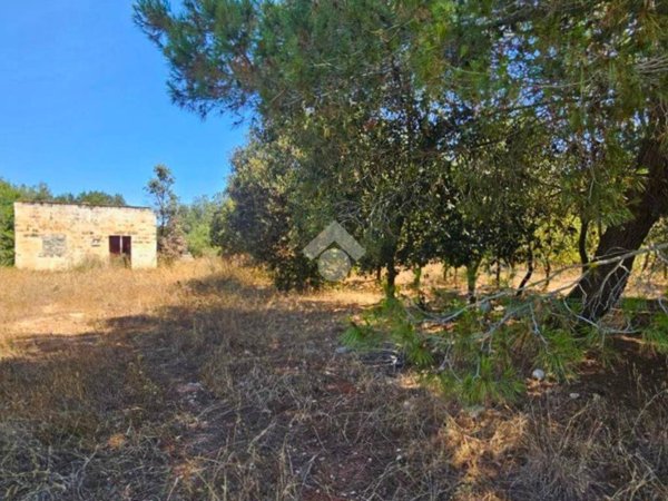 casa indipendente in vendita a Nardò