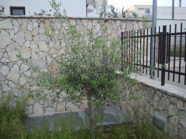 appartamento in vendita a Nardò in zona Santa Maria al Bagno