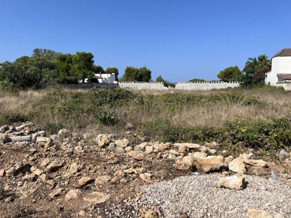 terreno agricolo in vendita a Nardò