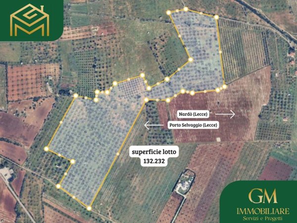 terreno agricolo in vendita a Nardò