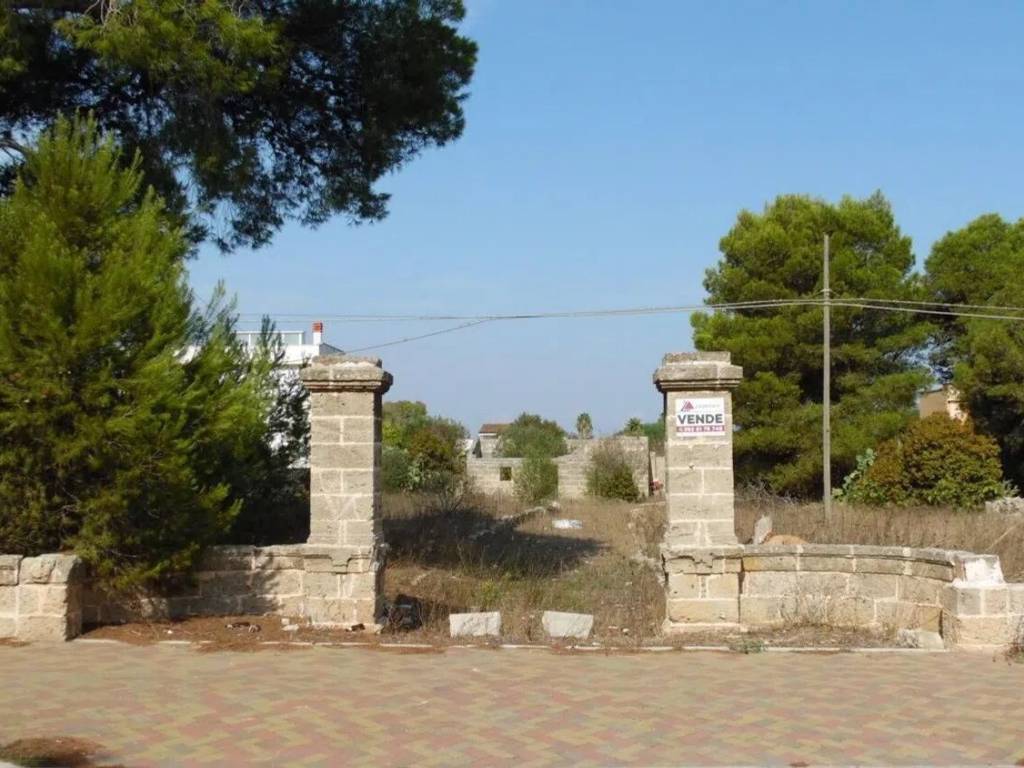 terreno agricolo in vendita a Nardò in zona Cenate