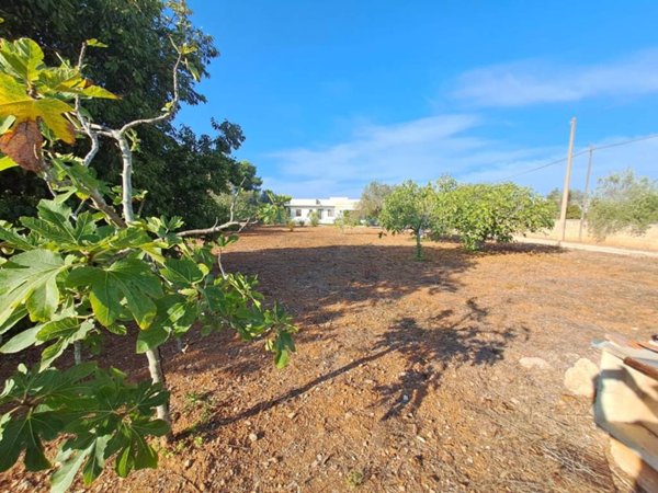 terreno agricolo in vendita a Nardò