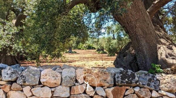 intera palazzina in vendita a Nardò