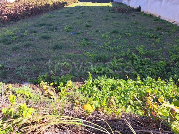 terreno agricolo in vendita a Nardò