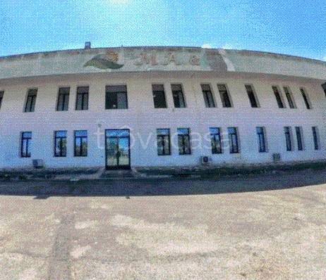 azienda agricola in vendita a Nardò