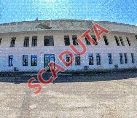 azienda agricola in vendita a Nardò