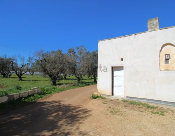 terreno agricolo in vendita a Nardò