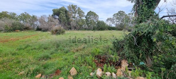 terreno agricolo in vendita a Nardò in zona Sant'Isidoro