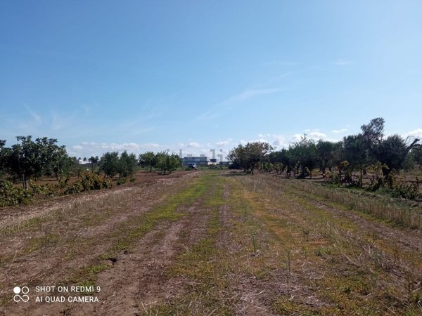 terreno agricolo in vendita a Nardò