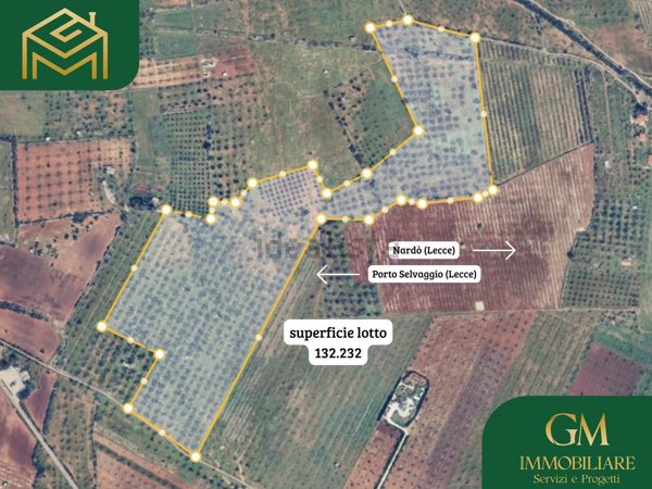 terreno agricolo in vendita a Nardò