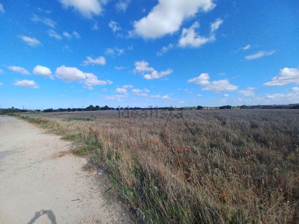 terreno agricolo in vendita a Nardò