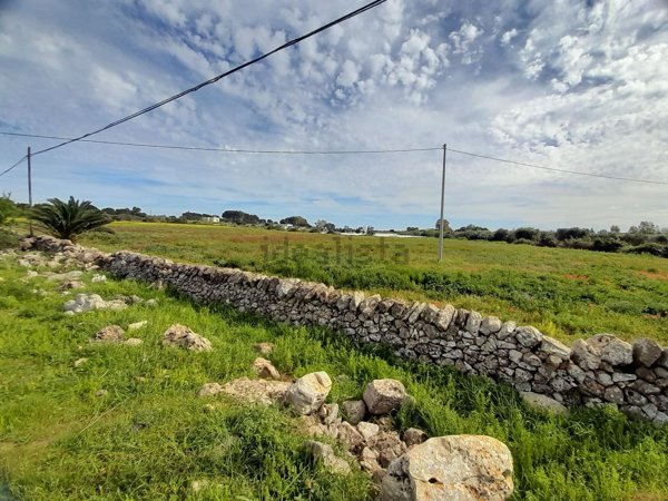 terreno agricolo in vendita a Nardò