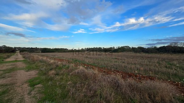 terreno agricolo in vendita a Nardò in zona Sant'Isidoro