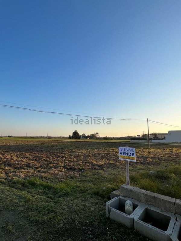 terreno agricolo in vendita a Nardò