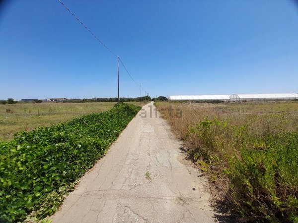 terreno agricolo in vendita a Nardò