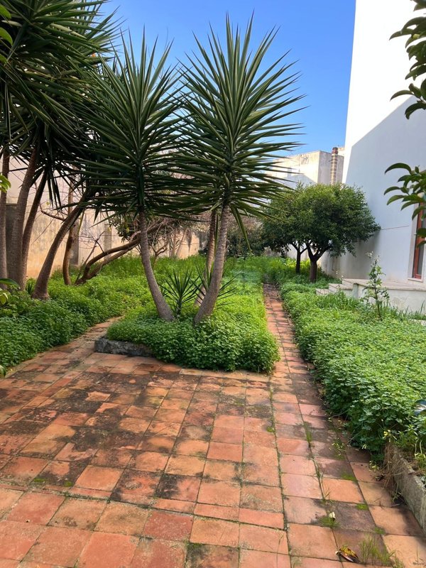 terreno edificabile in vendita a Nardò