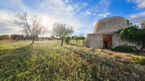 terreno agricolo in vendita a Nardò