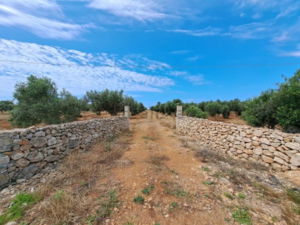 terreno agricolo in vendita a Nardò in zona Sant'Isidoro