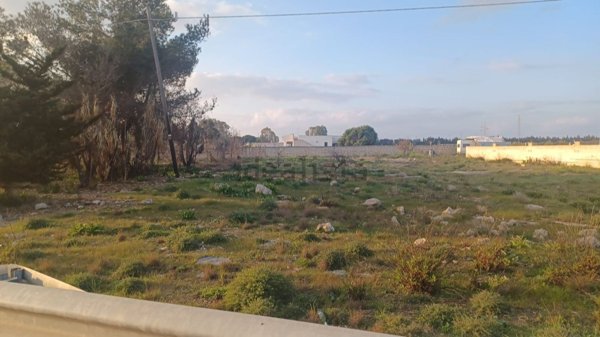 terreno agricolo in vendita a Nardò