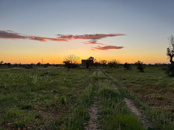 terreno agricolo in vendita a Nardò