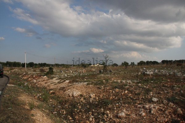 terreno agricolo in vendita a Nardò in zona Sant'Isidoro