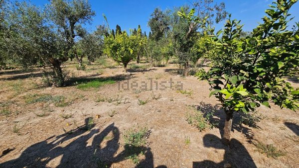 terreno edificabile in vendita a Nardò