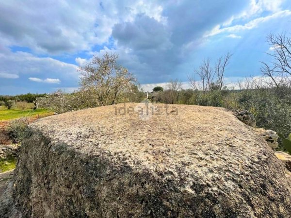 terreno agricolo in vendita a Nardò