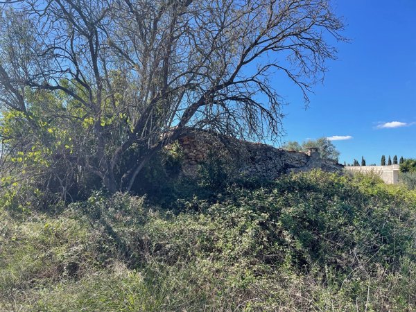 appartamento in vendita a Nardò