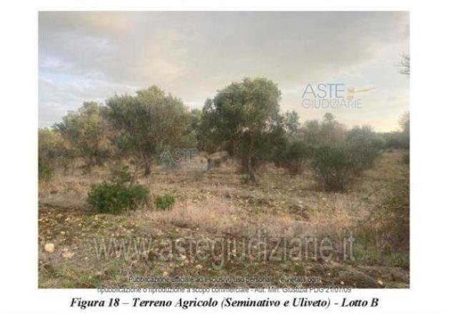 terreno agricolo in vendita a Nardò