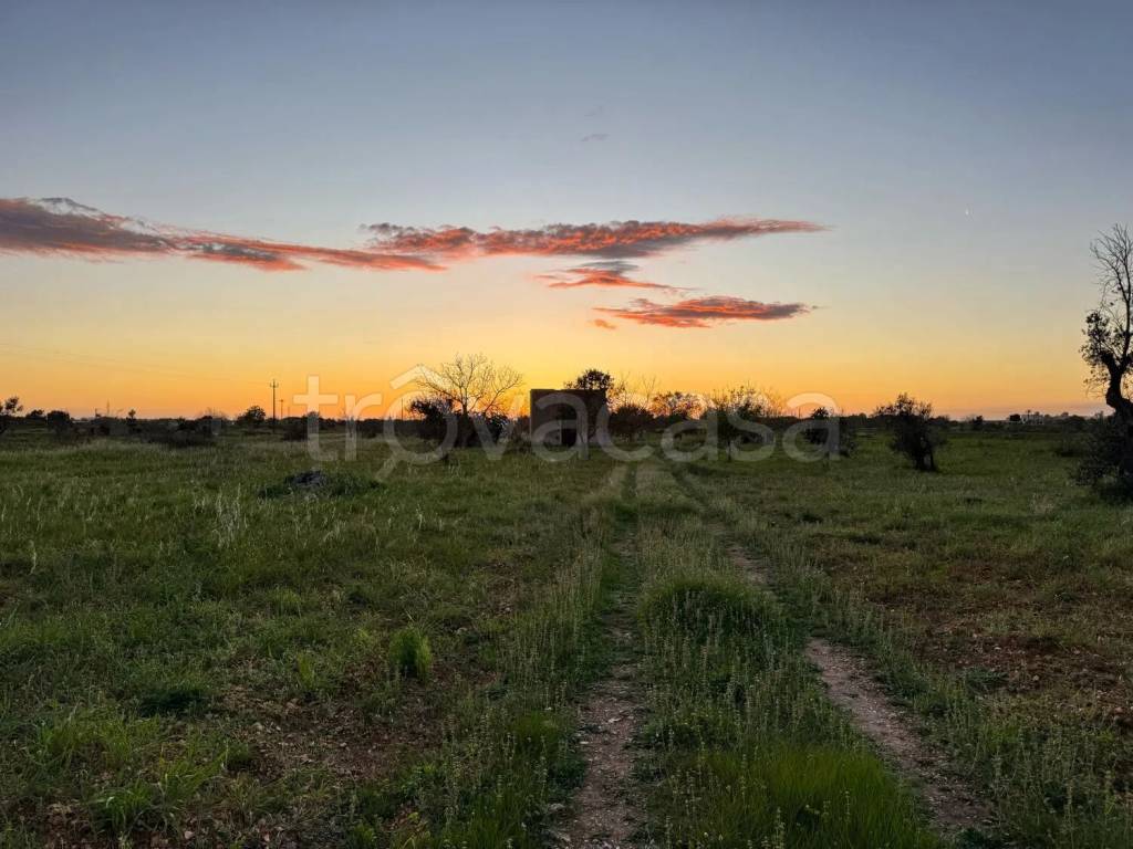 terreno agricolo in vendita a Nardò