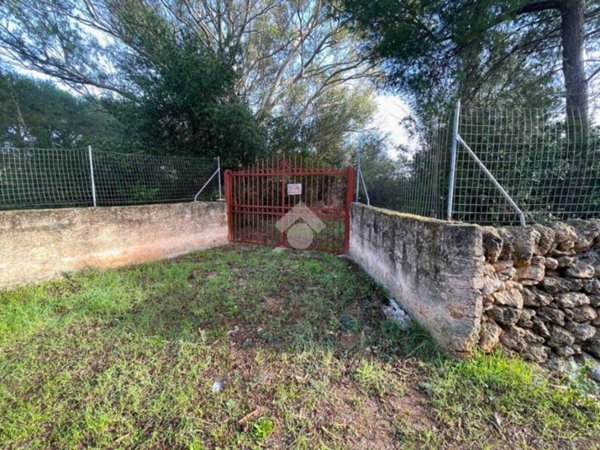terreno agricolo in vendita a Nardò