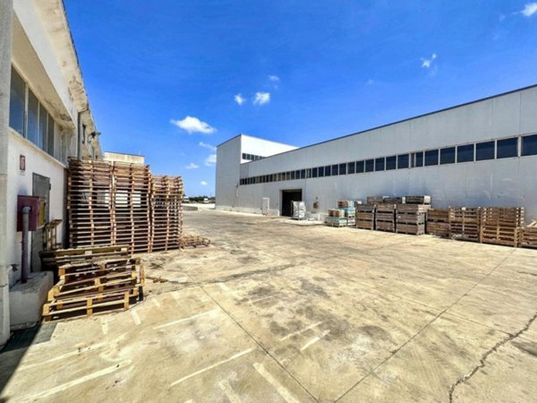 terreno agricolo in vendita a Nardò