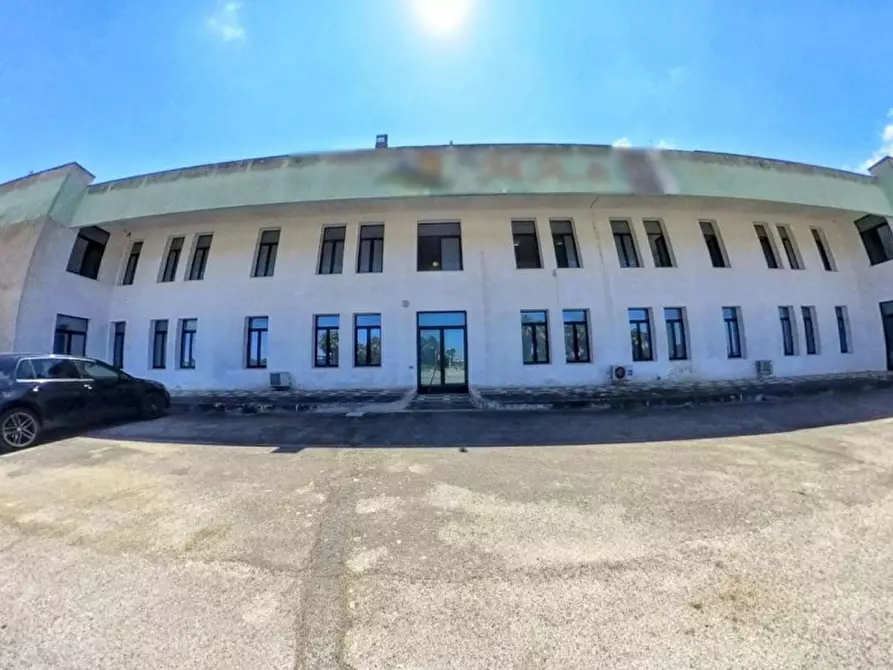 terreno agricolo in vendita a Nardò