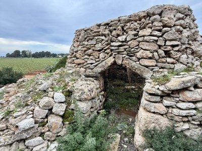 casa indipendente in vendita a Nardò
