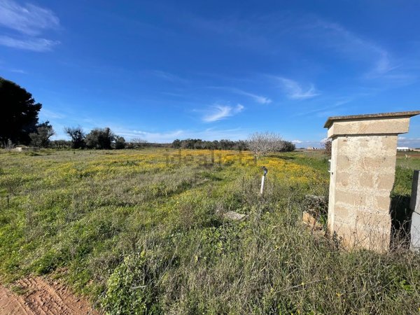 terreno agricolo in vendita a Nardò in zona Cenate
