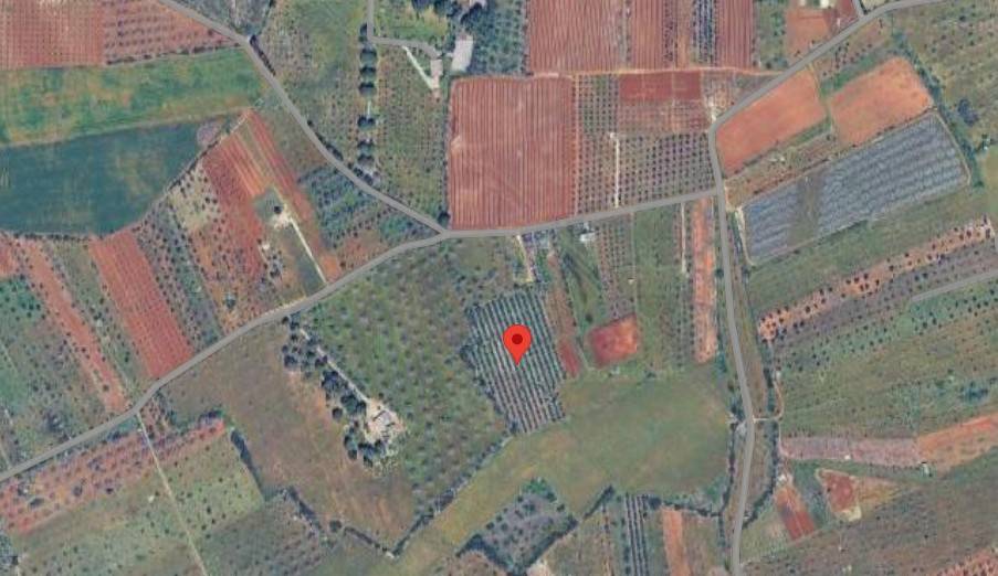 terreno agricolo in vendita a Nardò