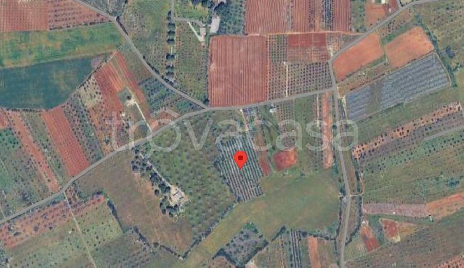 terreno agricolo in vendita a Nardò