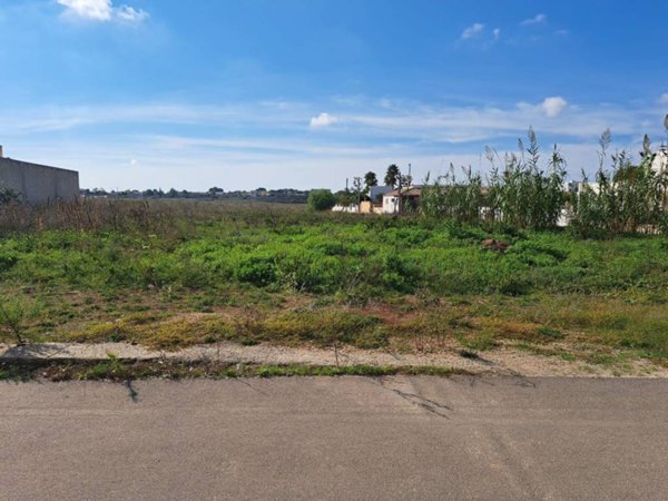 terreno agricolo in vendita a Nardò