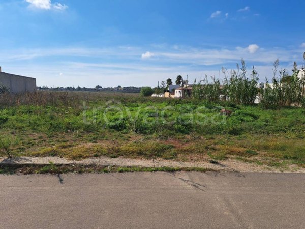 terreno agricolo in vendita a Nardò