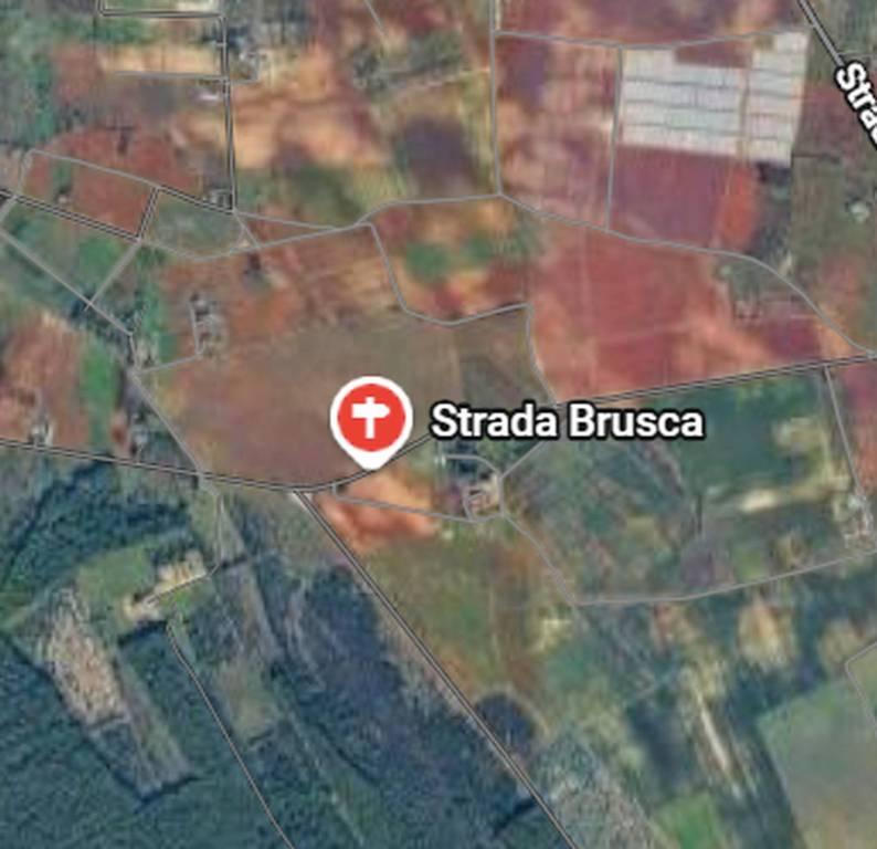 terreno agricolo in vendita a Nardò