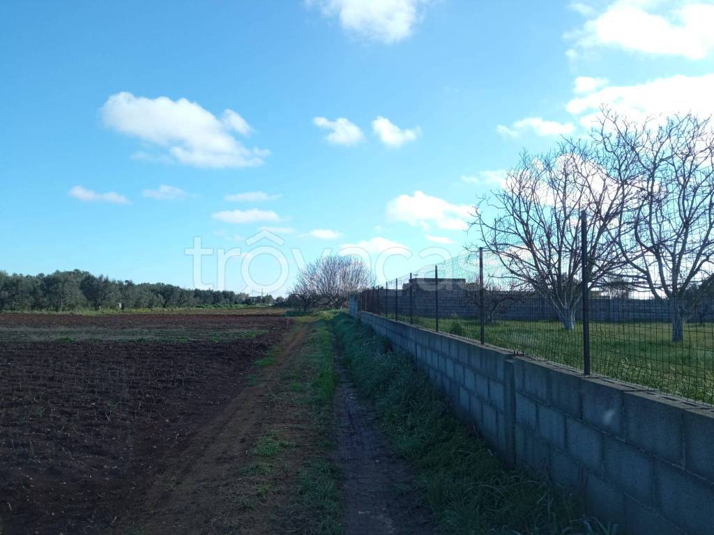 terreno agricolo in vendita a Nardò